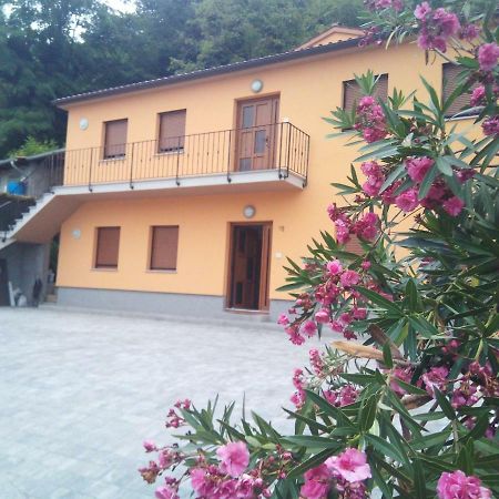 Apartmaji Matazin Črni Kal Kültér fotó